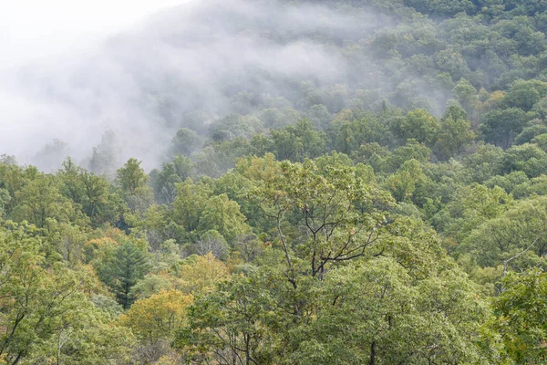 Güney Appalachian Sıradağları 'nda alçak bulutlar, Shenandoah Ulusal Parkı, Virginia