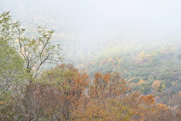Clearing Autumn Rainclouds Appalachian Trail Shenandoah National Park Virgínia — Fotografia de Stock