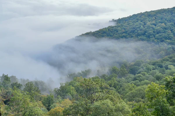 Vadi sisi sabahın erken saatlerinde, Shenandoah Ulusal Parkı, Virginia