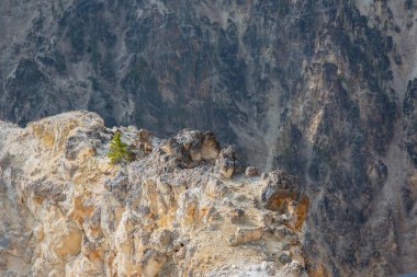 Kuzey Rim Yolu boyunca yükselen taş duvarlar Yellowstone, Wyoming 'in Büyük Kanyonu.