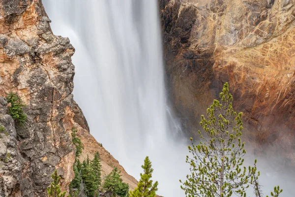 Yellowstone Büyük Kanyonu 'ndan Lower Falls Kuzey Rim Patikası' ndan Yellowstone Ulusal Parkı, Wyoming