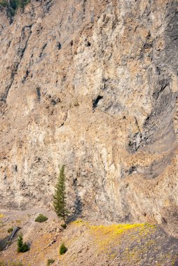 Firehole Kanyonu Duvarları, Yellowstone Ulusal Parkı, Wyoming