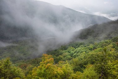 Table Rock, Monongahela Ulusal Ormanı, Batı Virginia 'da fırtına bulutları temizleniyor.