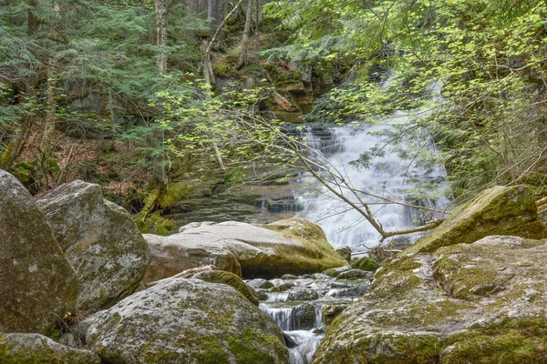 Tama Falls Tavasszal White Mountain Nemzeti Erdő New Hampshire — Stock Fotó