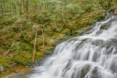 Yukarı Gordon Şelalesi, Adams Dağı 'nın kuzey yamacında, White Mountain Ulusal Ormanı, New Hampshire
