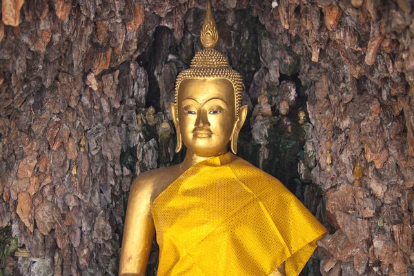 Estatua de oro buddha — Foto de Stock