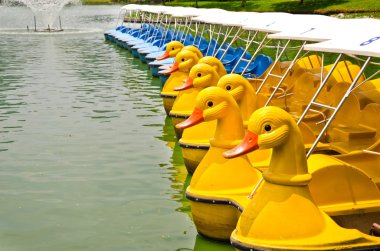 ördek benzeyen bir tekne