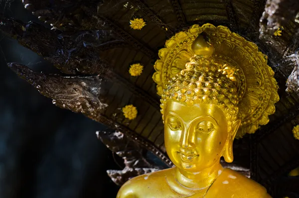 Altın buddha heykeli — Stok fotoğraf