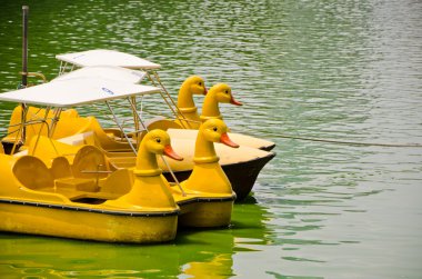 ördek benzeyen bir tekne