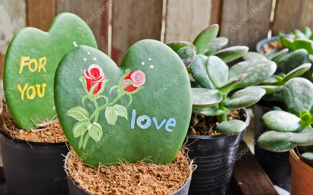 Corazón en forma de planta (hoya kerrii) — Foto de stock ...