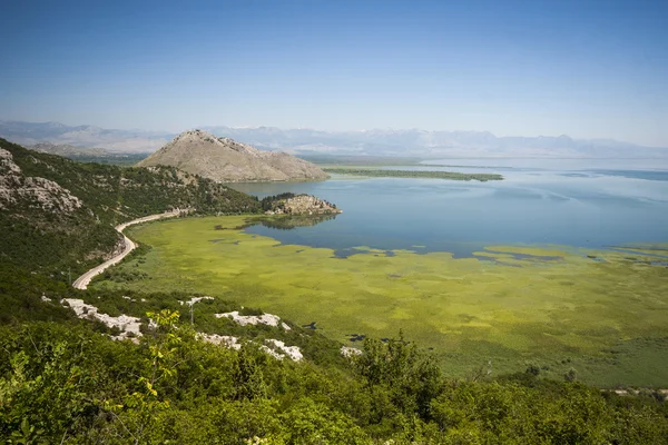 Скадарського озеро краєвид Стокова Картинка