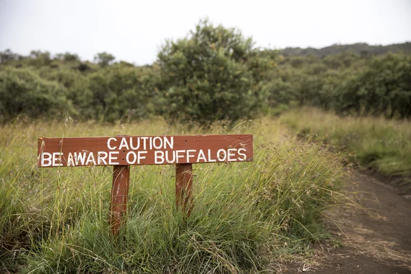 Zich bewust zijn van buffels teken — Stockfoto