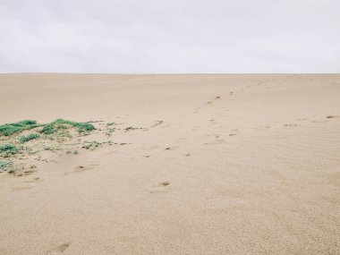 Japonya 'daki Tottori kumulunda Ufuk. 