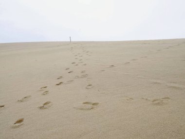 Japonya 'daki Tottori kum tepesinde bir direğin tepesine çıkıyor.. 