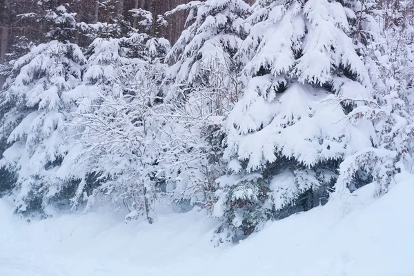 Bela Paisagem Inverno Árvores Cobertas Neve Passagem Montanha Queda Neve — Fotografia de Stock