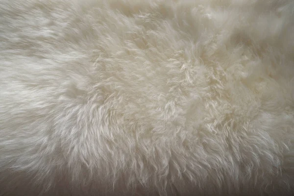 柔らかい毛を持つ白い羊皮の質感 デザイナーのための天然毛皮 処理の概念 より多くの製品の生産 ストレス軽減 心理的なストレス — ストック写真