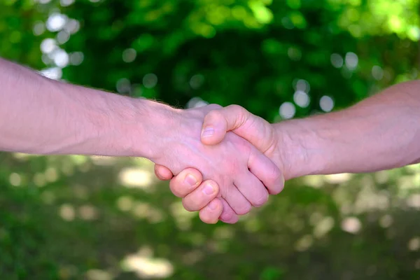 Close Strong Friendly Handshake Two Men Beautiful Natural Background Concept — Stock Photo, Image