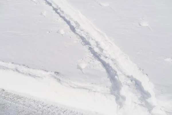 Fluffy White Snow Prints Animal Footprints Beautiful Winter Landscape Snowfall — Stock Photo, Image