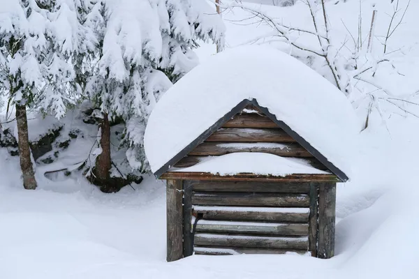 Alte Holzhütte Schnee Wunderschöne Winterlandschaft Schneebedeckte Flauschige Tannen Spaziergänge Winterlichen — Stockfoto