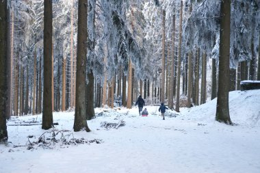 Erkek eli bulanık bir zemin seçer, süpermarkette sebzeli raflar, pazarlama konsepti, tüketici mallarının fiyatları, tüketici septi