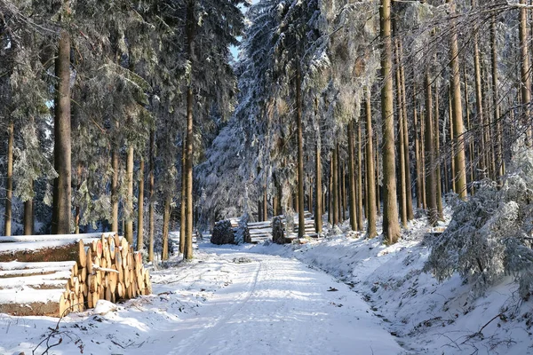 Beautiful Winter Landscape Snow Covered Branches Fir Trees Heavy Snowfall — Stock Photo, Image