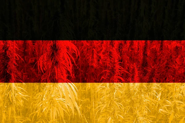 Flaga Narodowa Niemiec Zielone Rośliny Konopi Indyjskich Koncepcja Marihuany Medycznej — Zdjęcie stockowe