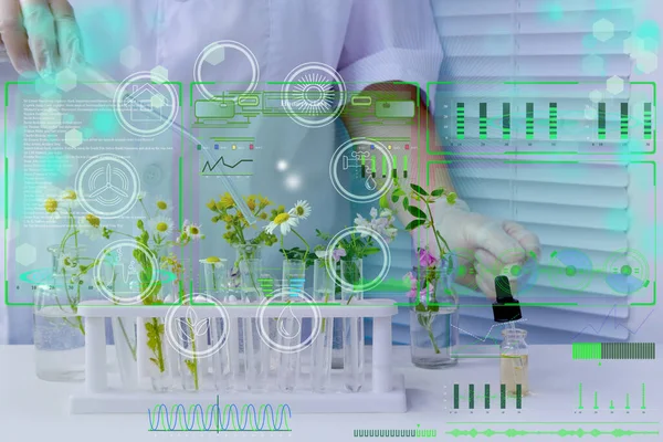 Tudós Készít Mintát Növények Elemzésére Egyetemi Laboratóriumban Tanulmányok Növényi Dns — Stock Fotó