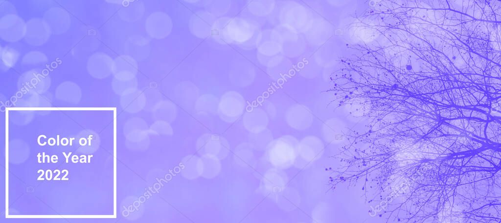 púrpura, lila fondo color borroso textura bokeh, redondo desenfocado  navidad abstracta, fondo de pantalla de la boda, base para el diseñador,  tendencias de color de moda, Veri Peri Pantone 2022 2023