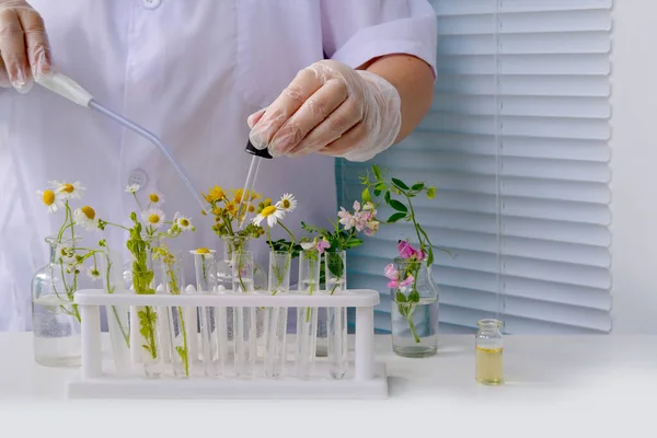 Mujer Científica Prepara Muestra Plantas Para Análisis Laboratorio Universitario Estudios — Foto de Stock