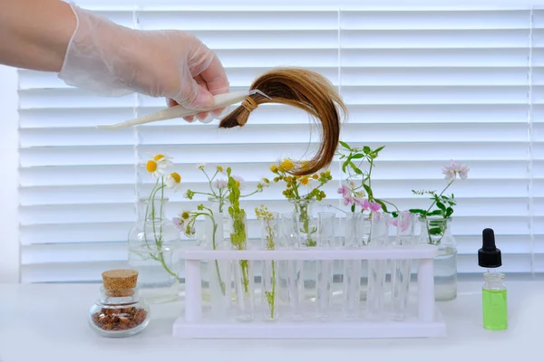 Mano Assistente Laboratorio Femminile Tricologo Scienziato Elabora Campioni Capelli Riccioli — Foto Stock