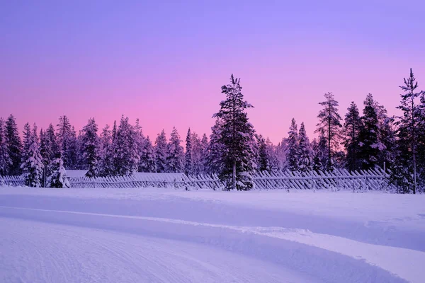 Beau Paysage Hivernal Nuit Polaire Chute Neige Dans Forêt Flocons — Photo