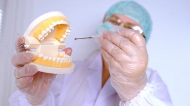 Kadın ellerinin yakın çekimi, doktor dişçinin elinde insan çenesinin modeli, diş, diş konsepti, ağız hijyeni, periodontal hastalık tedavisi, bakteriler, ısırık düzeltme, günlük rutin göstergeler