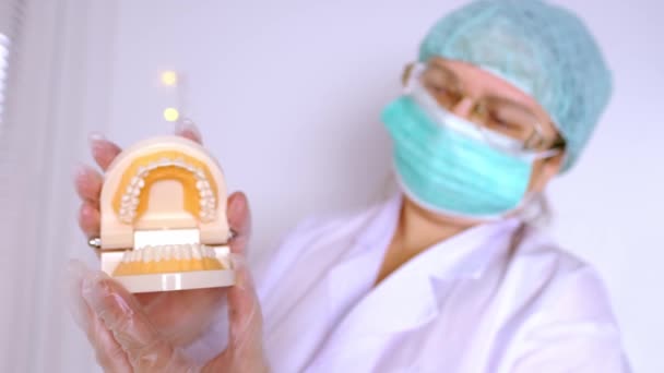 Primo Piano Delle Mani Femminili Medico Dentista Tiene Modello Della — Video Stock