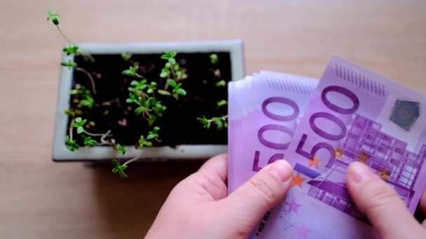 Primer Plano Los Billetes Euros Plántulas Jóvenes Brotes Finos Plantas — Vídeo de stock