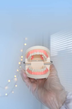 Kadın ellerinin yakın çekimi, doktor dişçinin elinde insan çenesinin modeli, diş, diş konsepti, ağız hijyeni, periodontal hastalık tedavisi, bakteriler, ısırık düzeltme, günlük rutin göstergeler