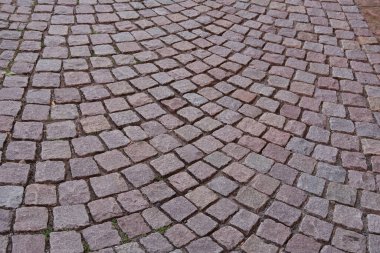 Güzel kış manzarası, karla kaplı ağaçlar, dağ geçidi, dağlarda kar yağışı, karda İsviçre Alpleri, kış ormanlarında yürüyüş, turizm, kış sporları.