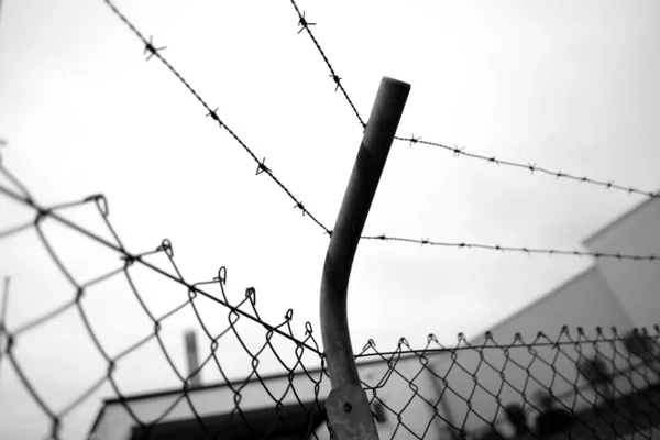 有刺鉄線 ワイヤーメッシュ 鉄条網のフェンスの多くの行 犯罪者のための罰の実行のための建物 概念刑務所 セキュリティゾーン 緊縛のシンボル 監禁の絶望 — ストック写真