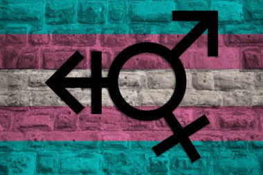 Çizgili İkili Olmayan Trans Bayrağı: İkili ve Cinsiyet Değiştiren Bayrakların Birleştirilmesi, Saygıdeğer ve Destekleyici Olmanın Konsepti