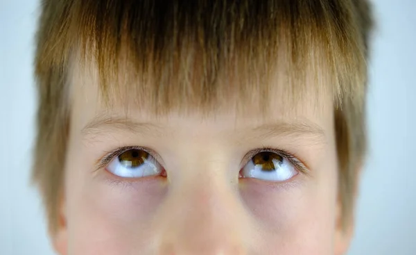 Zbliżenie Części Twarzy Dziecka Brązowe Oczy Chłopca Wieku Lat Brązowe — Zdjęcie stockowe