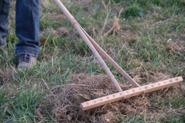 man rakes, clears lawn with wooden rake, field of mowed grass, dry branches, tops of plants, gardener's cares, concept of caring for a green lawn, preparing the land for a new harvest