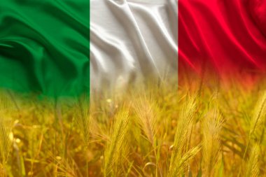 beautiful silk background, national flag of Italy, golden ripe ears of wheat, concept of rich harvest of bread, grain import, export abroad, stock exchange, grain trading, Grains Futures Prices clipart