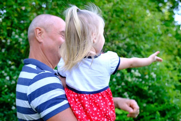 Küçük bir çocuğun yakın çekimi, 2 yaşında kırmızı elbiseli sarışın bir kız, yaşlı bir adam, büyükbaba ve torun, çocukluk kavramı, nesillerin aile ilişkileri, yazın doğada yürümek.