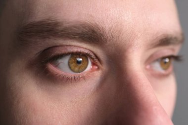 Erkek yüzünün bir kısmını kapat, adam, 25-30 yaşlarında kahverengi gözlü genç bir adam, yan yana bakan insan gözü, gözetleme, izleme, görme, estetik muayene, cilt sağlığı prosedürleri,