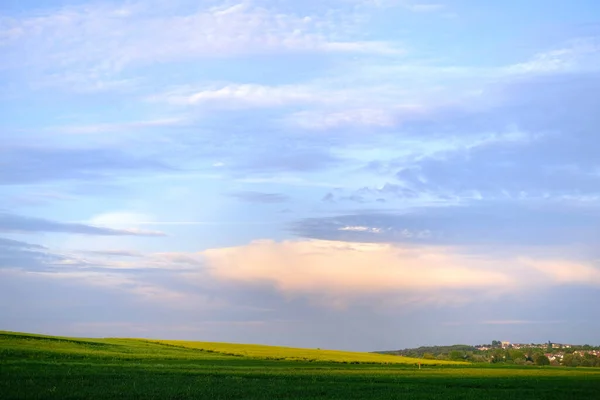 Beautiful Summer Landscape Blue Sky Clouds Green Fields Ripening Wheat — 스톡 사진