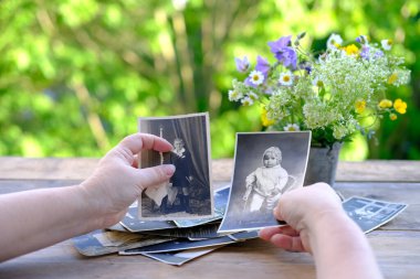 Kadın elleri 1950 'lerin klasik fotoğraflarını parmaklıyor, masadaki fotoğraflar, yabani çiçekler, soy ağacı konsepti, atalarımızın hafızası, aile ağacı, nostalji, çocukluk anıları, hatırlama.