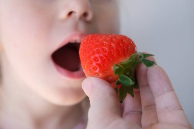 Çocuğun elinde taze çilek, 14-15 yaşlarında neşeli bir kız, taze vitamin meyvesi, ağızda lezzetli böğürtlen, sağlıklı beslenme konsepti, çocuklar için sağlıklı yemek, iyi bir iştah.