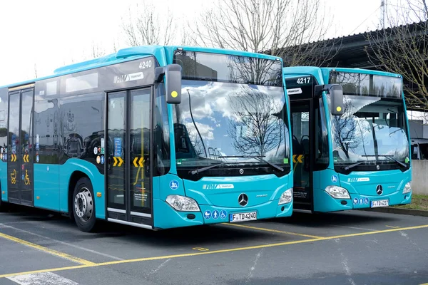 Yeşil şehir servis otobüsleri, Almanya toplu taşıma konsepti, taşımacılık şirketleri grevi, Frankfurt - Mart 2022