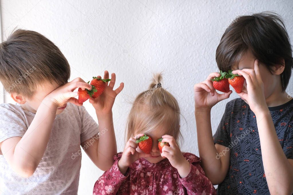 fresh strawberries in hands of children, cheerful family, two boys 8-10 years old and girl 3 years old, fresh vitamin fruit, binocular eyes, concept of wholesome eating, healthy food for children