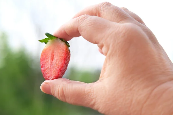 Nahaufnahme Von Frischen Erdbeeren Frischen Vitaminfrüchten Saftige Scheibe Mit Frischem — Stockfoto