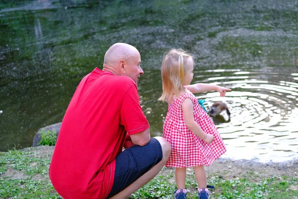 small child, 2-year-old blonde girl in red dress, old man, grandfather and granddaughter by water, concept of childhood, family relationships of generations, walk in summer in nature